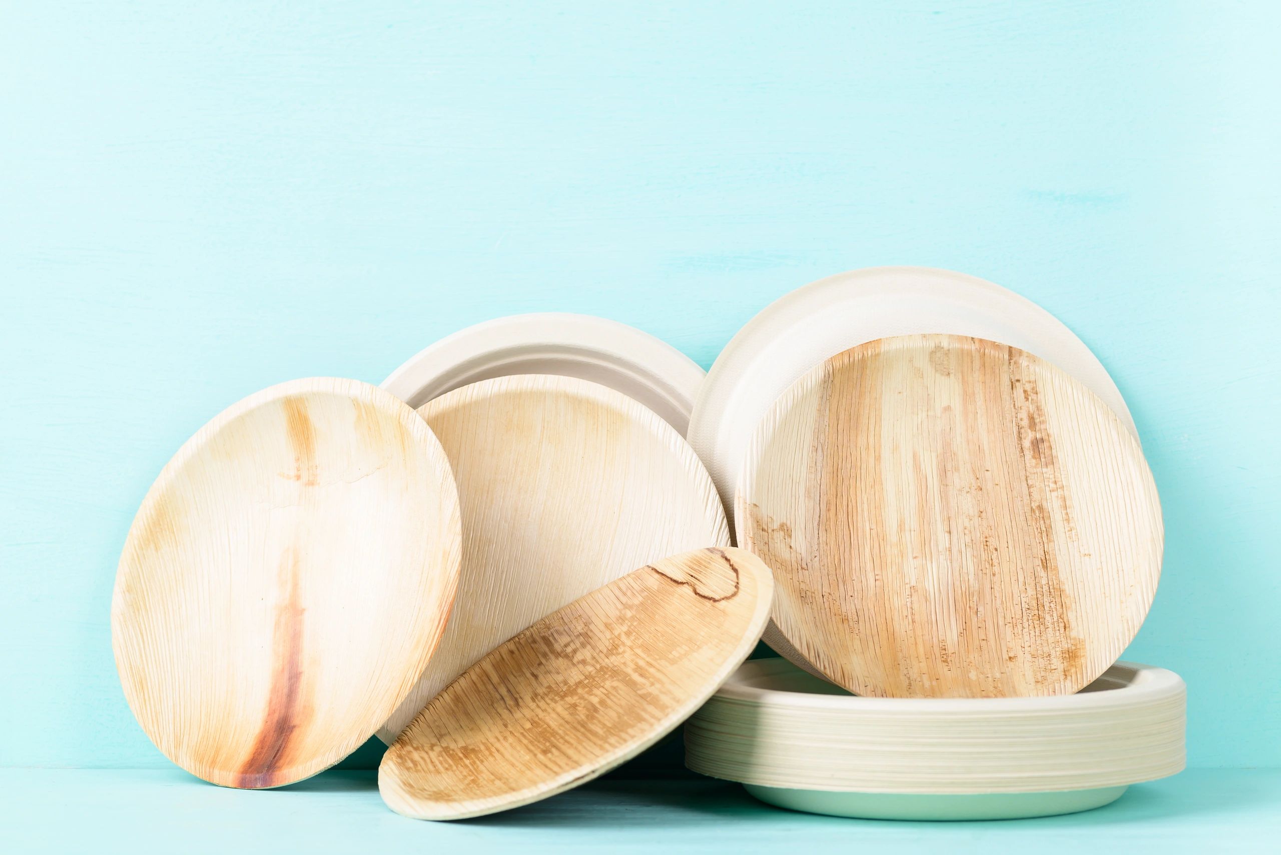 Eco-friendly disposable plate and utensils