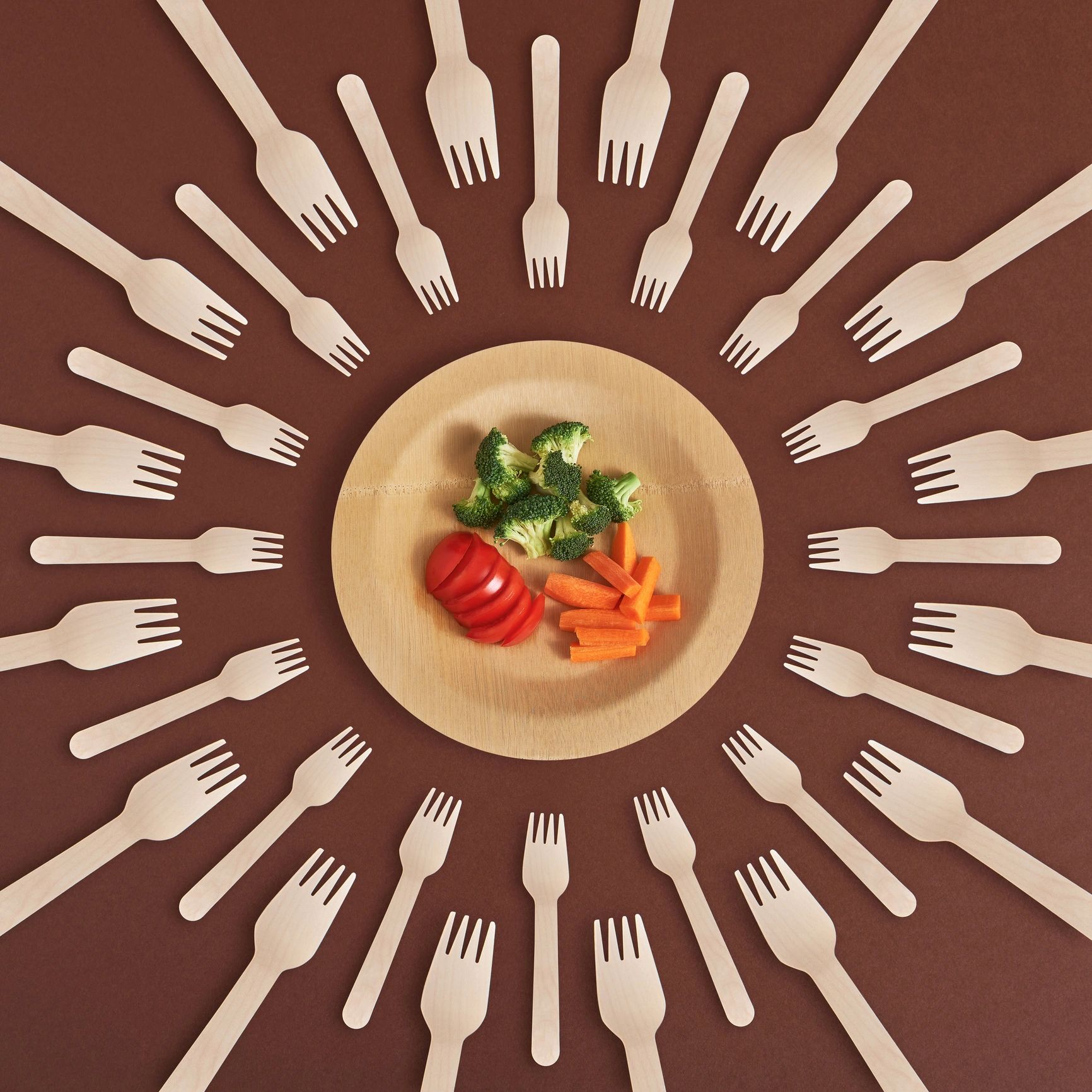 Plant-based plates prepared for a meal