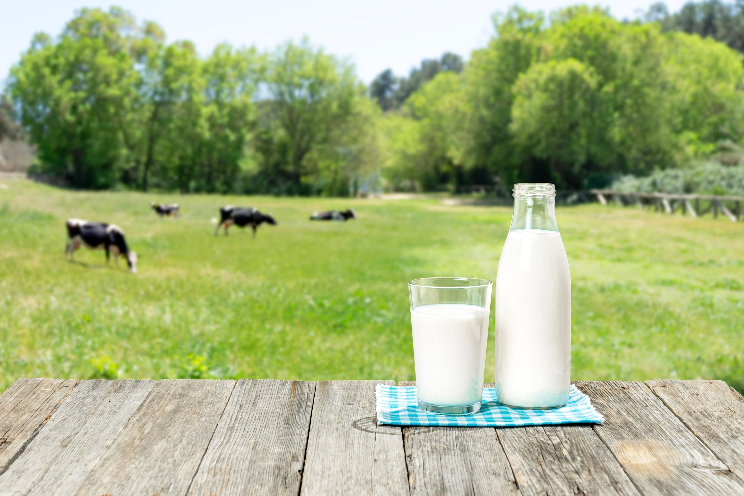 Sustainable packaging materials in a natural setting
